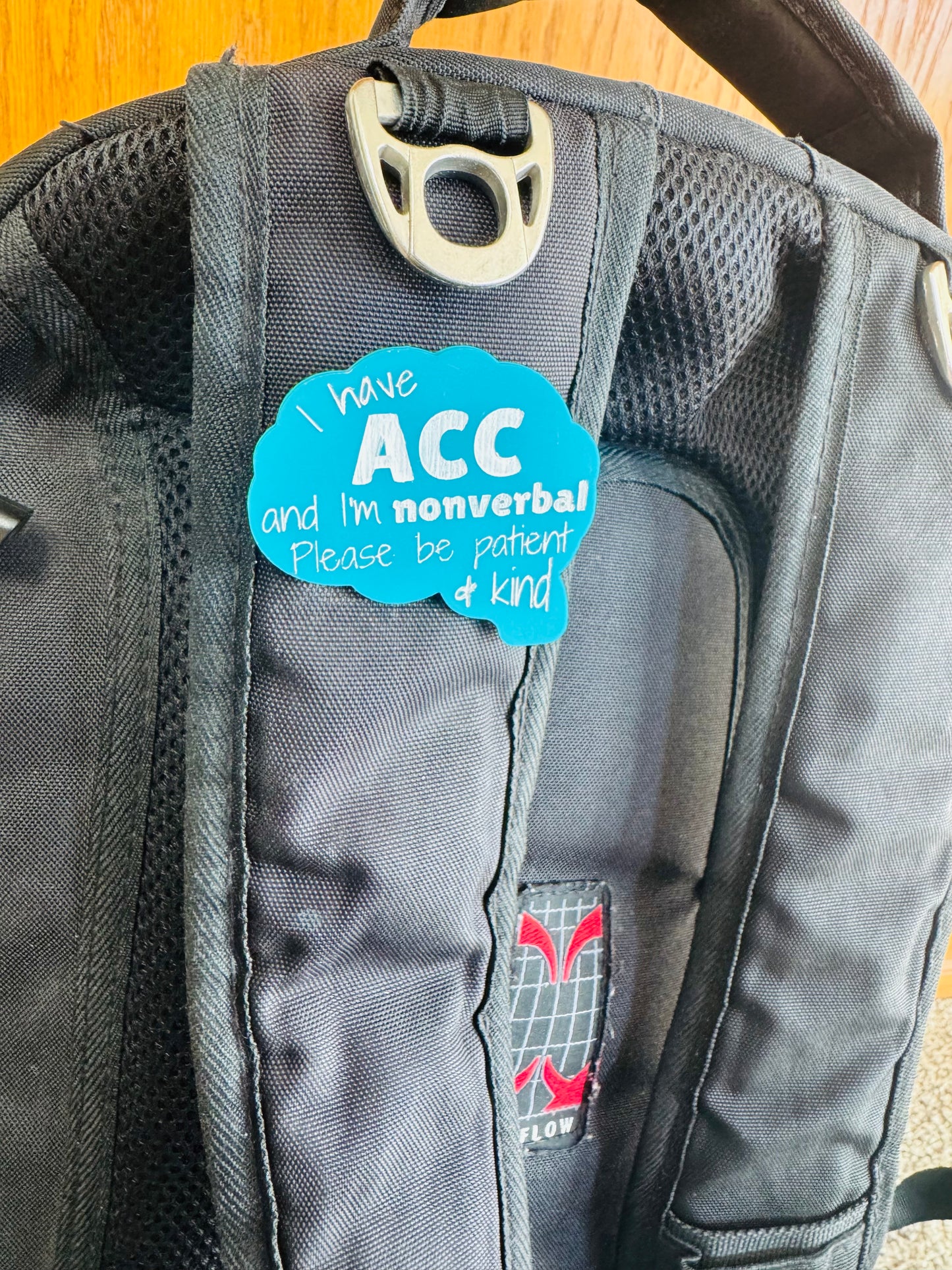 DCC and ACC Self Advocate Pin