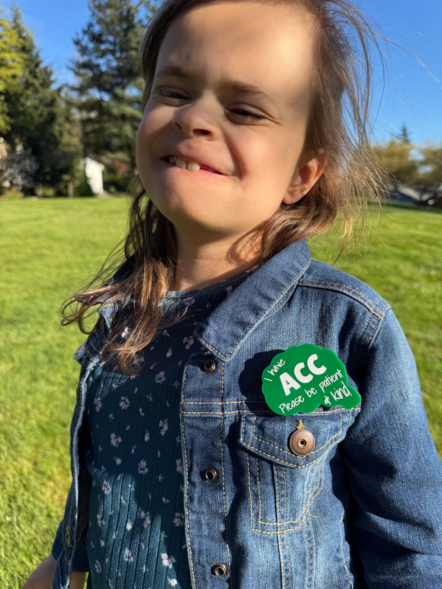 DCC and ACC Self Advocate Pin